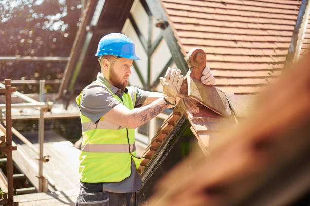 Roof Gutter Cleaning in Great Bend, NY